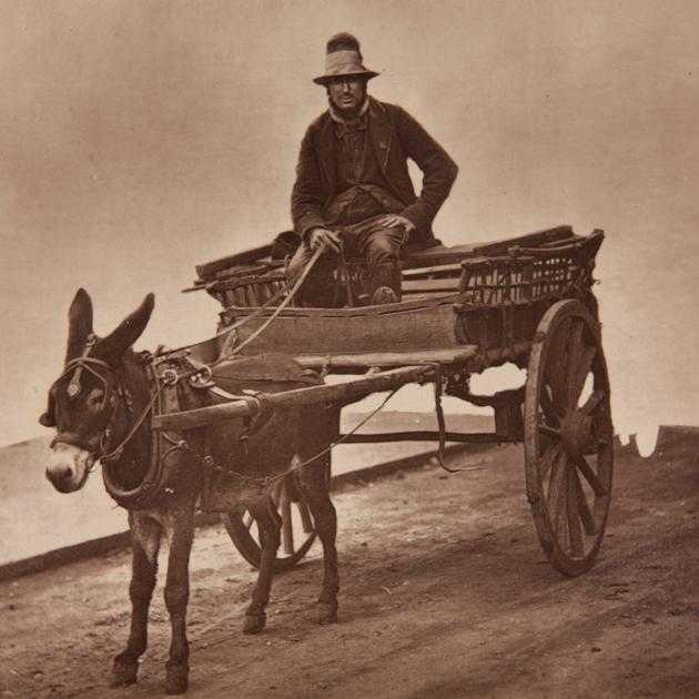 A donkey seems to suffer under the weight of the cart and man in this rare photograph from 1877. (SWNS)